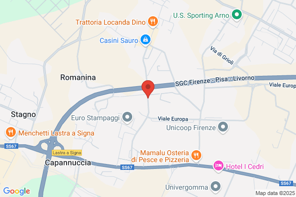 DSb Assistance - investigazioni e Sicurezza