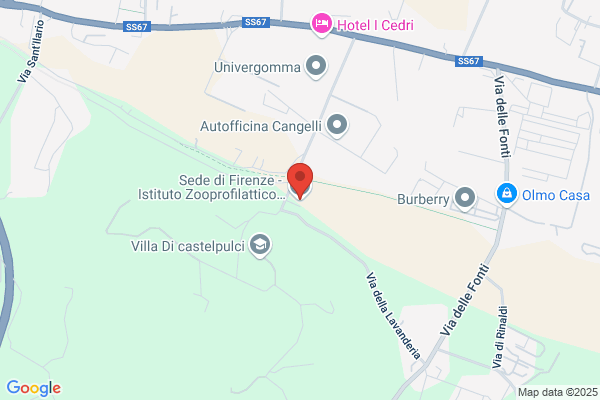 Istituto Zooprofilattico Sperimentale Delle Regioni Lazio E toscana