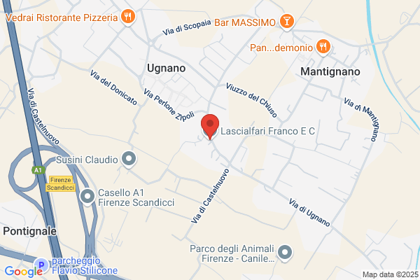 Lascialfari Franco