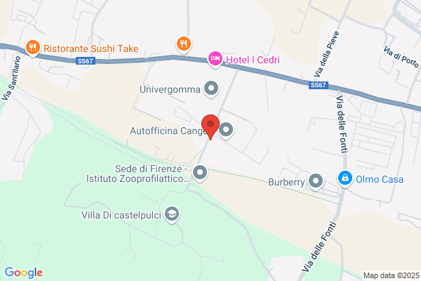 A.R. Florence Di Aronni Romana