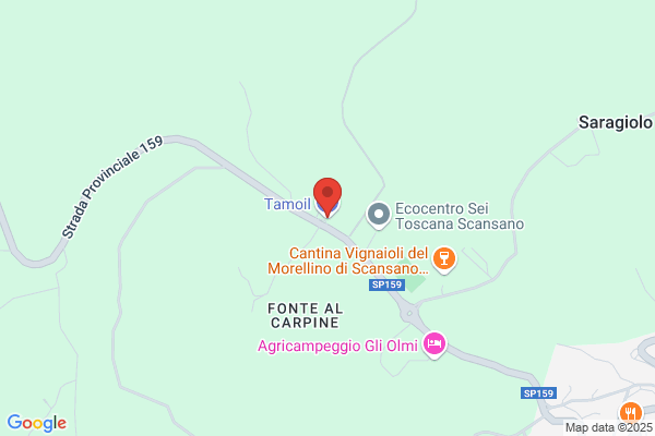 Sas Tonini Di Cecchi Marzia