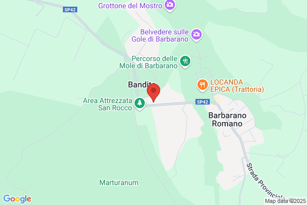 Guerrini Maurizio