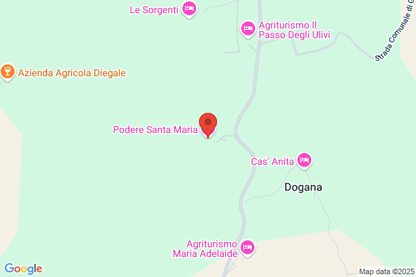 Santa Maria Societa Semplice