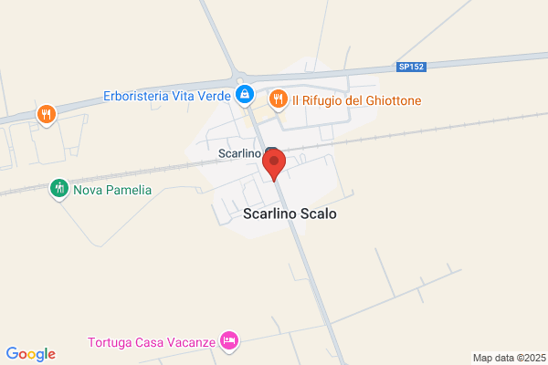 Filo Dargento