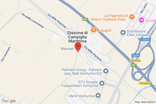 Mannari daniele (Geom.)