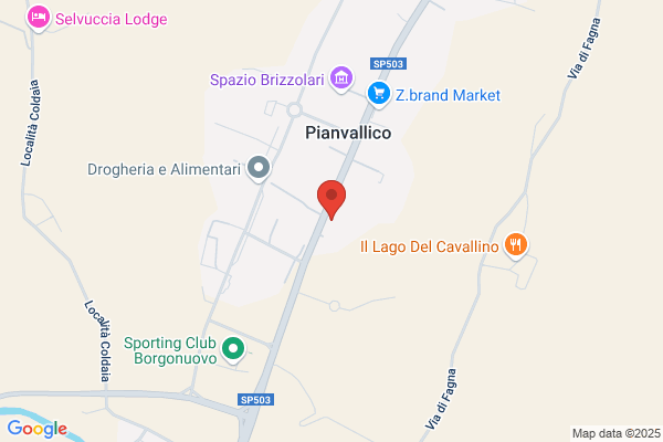 D.M.C. Srl a su Sog. a Direz. e Coord. da Parte di Riri Sa Mendrisio