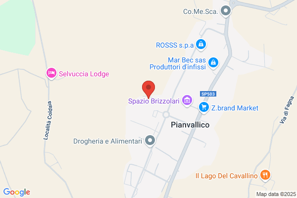 Lascialfari Carlo Giovanni & C. Srl