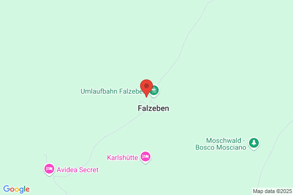 Wohlfühlhotel Hotel Falzeben