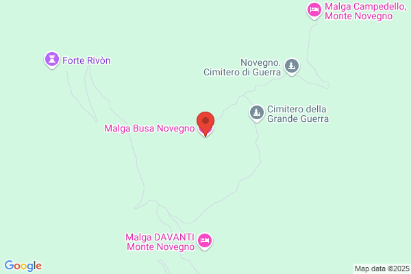 Lievore nicola