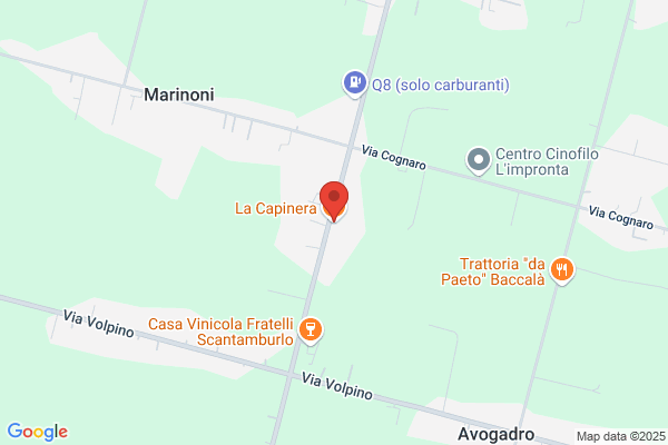 Pizzeria Capinera