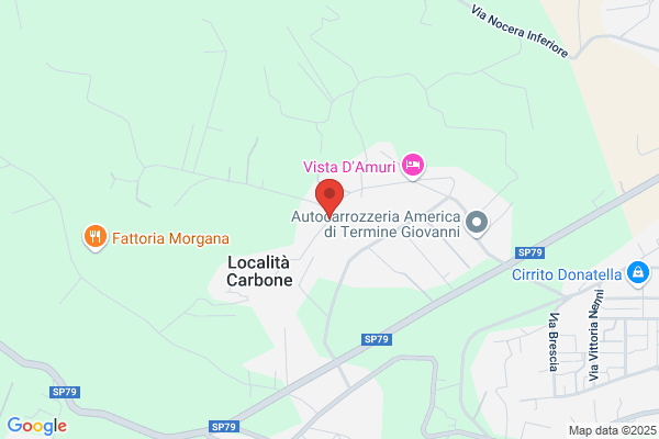 Novi lidia