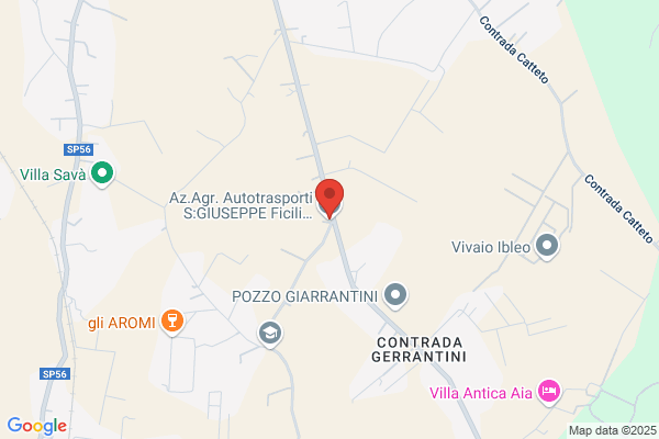 Ficili Giuseppe (Ing.)