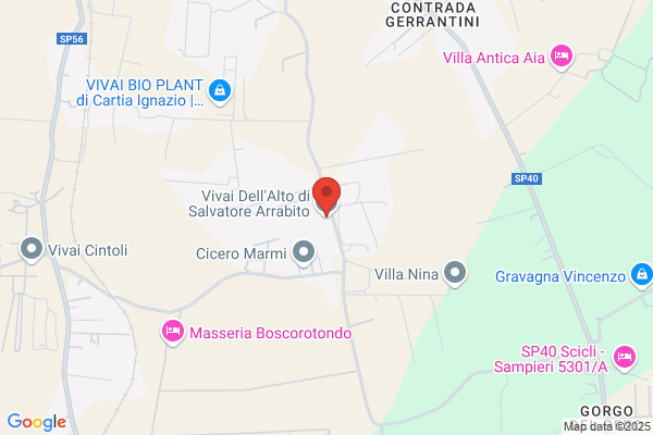 Vivai Dellalto Di Salvatore Arrabito