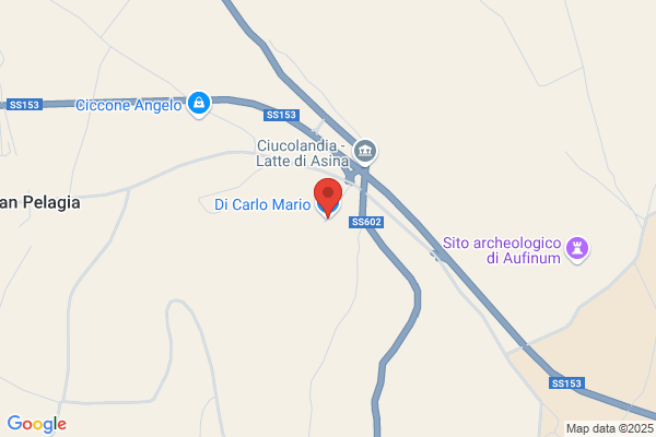 Di Carlo Mario