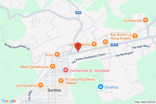 S.C.Elettronica Di Sortino E Caniglia S.D.F.