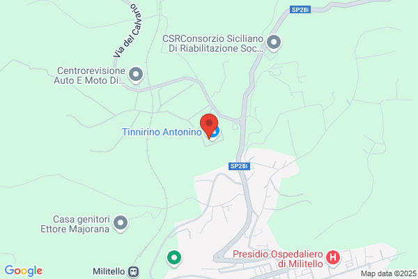 Tramontana aurelio