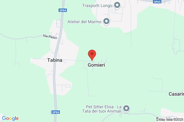 Gomiero Aldo