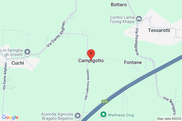 Campigotto gianni