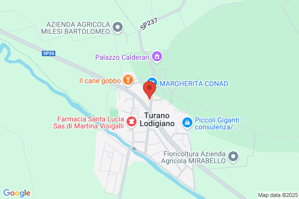 Fontana Aldina