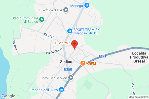 Ilex Di Sponga Alma & C. (S.N.C.)