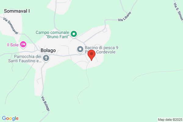 Sartor paola