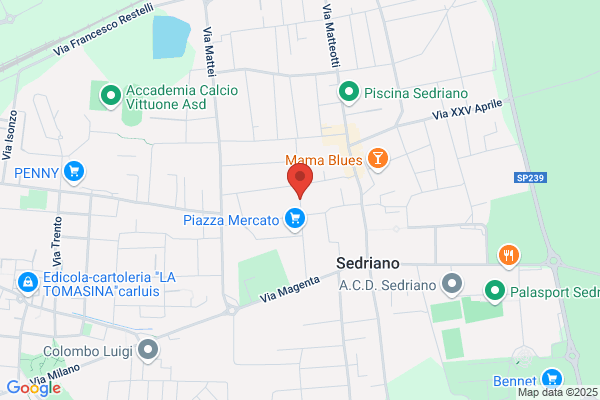Lazzaroni S.R.L.