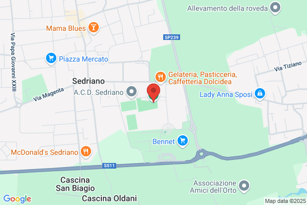 Palazzetto Dello Sport