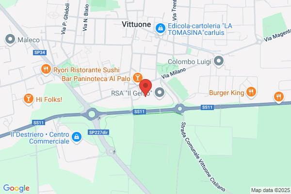 Vi.Lo. Service S.A.S.
