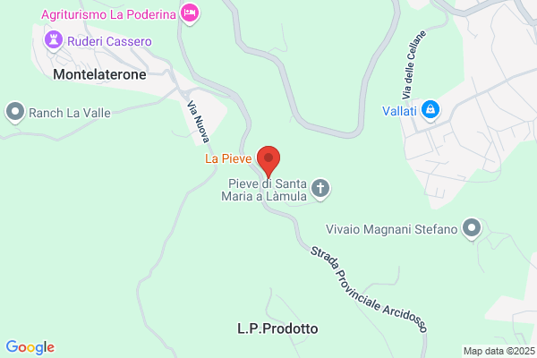 Castagneto La Pieve di Riccardo Cioci