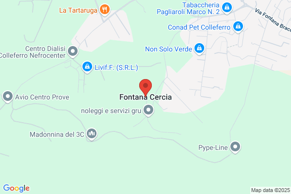 Fontana Elvio Celestino