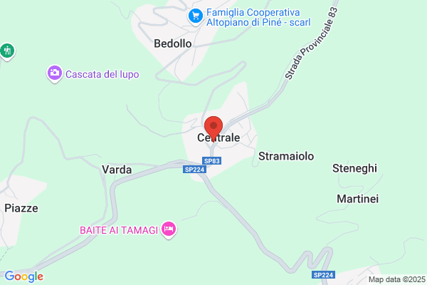 Ristorante Pizzeria Bar Centrale