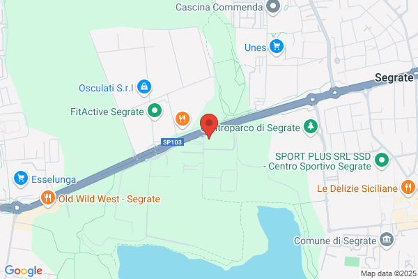 Pizzeria Santo Stefano