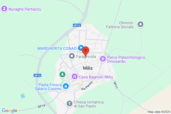 Fondazione Istituti Riuniti di Assistenza Sociale di Milis