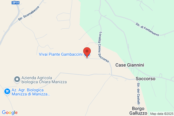 Vivai Piante Gambaccini