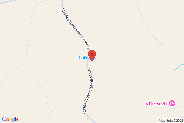 Galli (S.R.L.)
