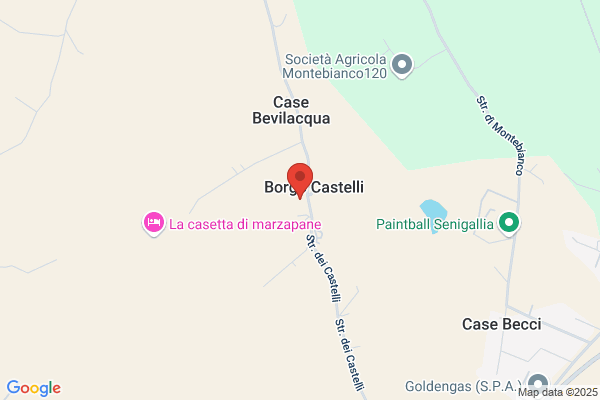 Vernelli marcello