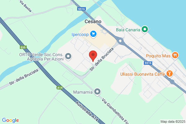 Anibaldi Dott.ssa Luisa