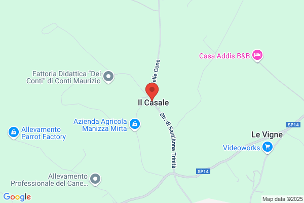 Ristorante Pizzeria Il Casale
