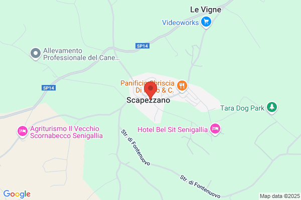 Poste Italiane S.P.A.