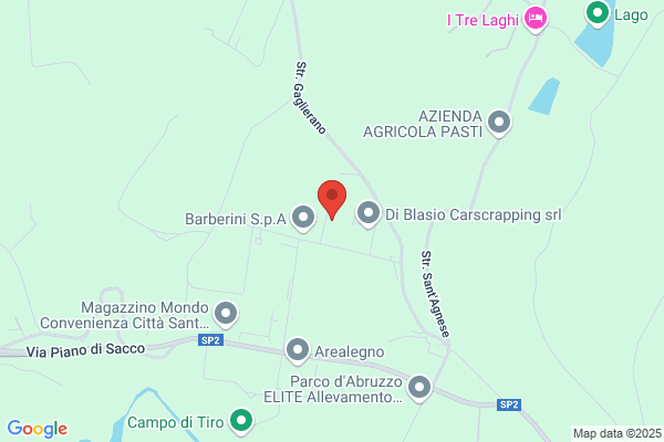 Silvi Trasporti Srl