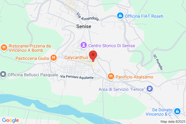 Latronico salvatore