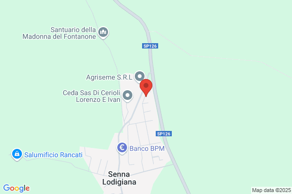 Profeta cesare (Dr.)