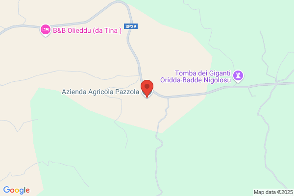 Pazzola antonio