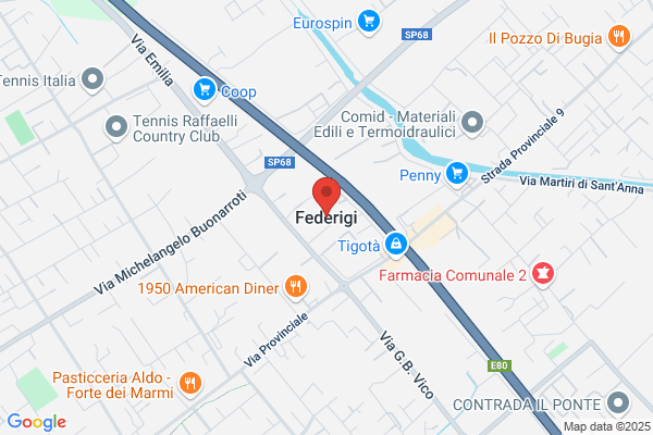 Federigi Elsa