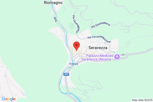 Sassu eugenio