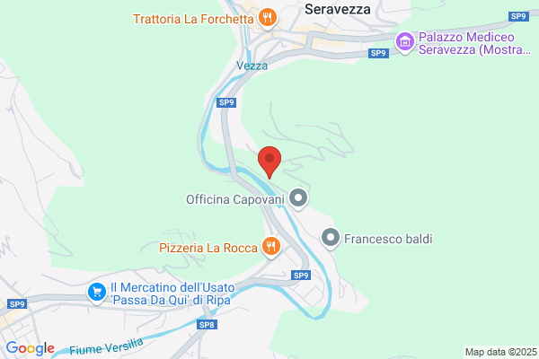 Versilia Trasporti Di Sacchelli