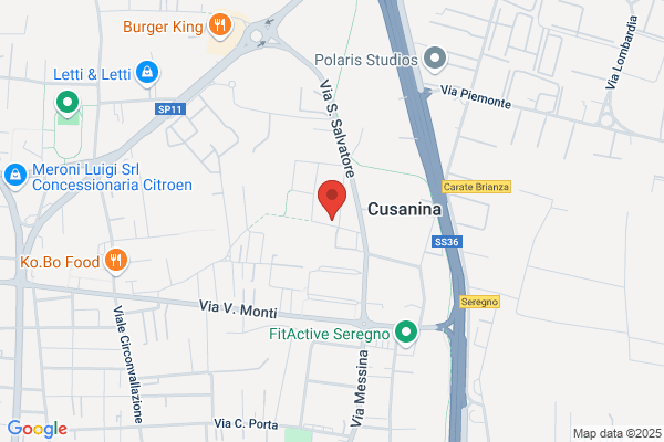 Timser Timbrificio Seregnese