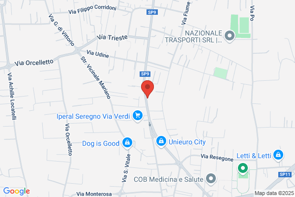 Lineamoda Di Galli Giuliana