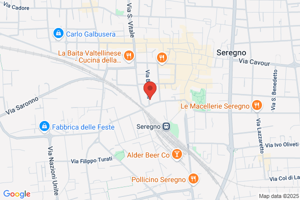 Arc Data Srl