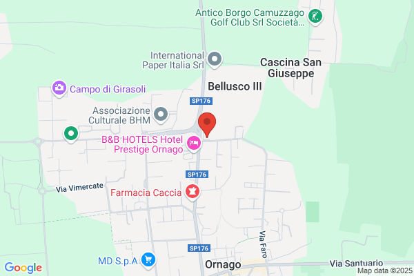 La Voglia Matta Sdf Di Fadini Marco e raddi Fortunata